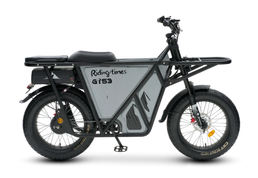 GT53 Cargo eBike