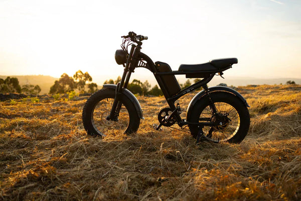 GT73 Pro Electric Motorbike – Battery Guide