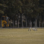 a bike parked in the middle of a park