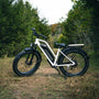 a bicycle parked on a dirt path in the woods