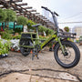 a green bike parked next to a bunch of flowers