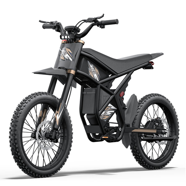 GT73 Pro Electric Dirt Bike