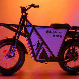 GT53 Cargo eBike