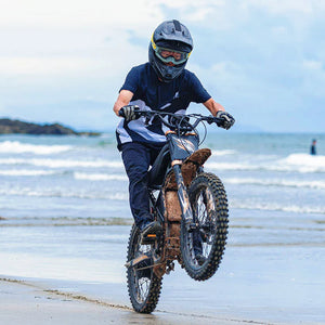 GT73 Pro  Electric Motorbike