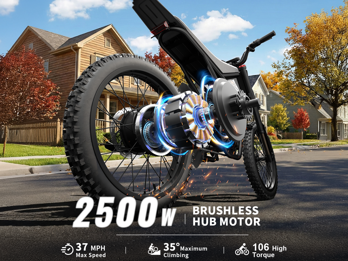 GT73 Electric Dirt Bike