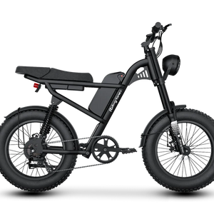 Z8 Electric Bike